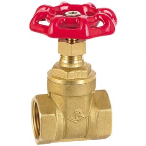 PAR Brass Threaded Gate Valve 21/2" PN20