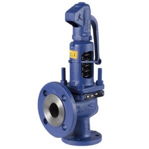 ARI-SAFE / SAFE –P Safety Valves