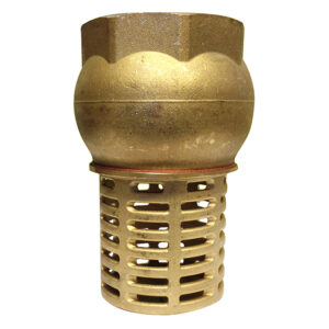 Clarke Brass Foot Valve & Strainer, 1’’F BSP