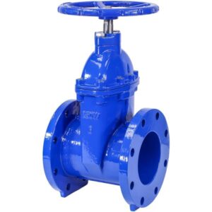 Cast Iron Flanged Gate Valves