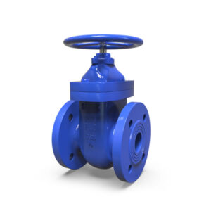 Antares Cast Iron Gate Valve DN50 – Flanged PN10