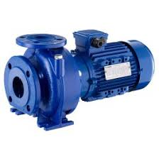 Lowara NSCE 40-125/30/P25RCS4 End Suction, Flanged Centrifugal Pump, 3.0KW, 400v